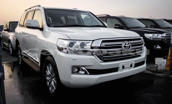 Buy Import Toyota Land Cruiser White Car in Import - Dubai in Abseron Buy Import Toyota Land Cruiser White Car in Import - Dubai in Abseron