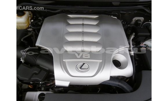 Buy Import Lexus LX White Car in Import - Dubai in Abseron Buy Import Lexus LX White Car in Import - Dubai in Abseron