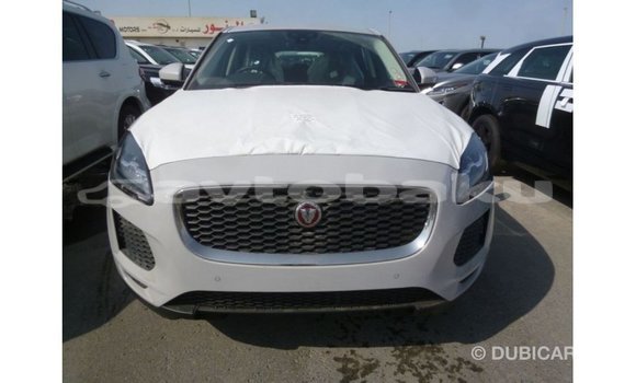 Buy Import Jaguar E-Pace White Car in Import - Dubai in Abseron Buy Import Jaguar E-Pace White Car in Import - Dubai in Abseron
