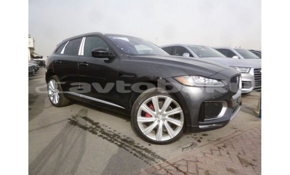 Buy Import Jaguar F-Type Black Car in Import - Dubai in Abseron