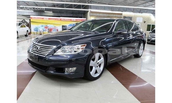 Buy Import Lexus LS Other Car in Import - Dubai in Abseron Buy Import Lexus LS Other Car in Import - Dubai in Abseron