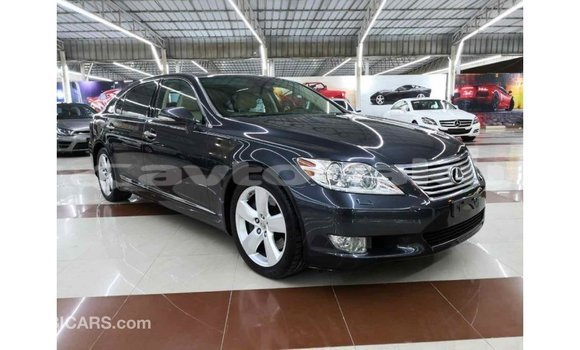 Buy Import Lexus LS Other Car in Import - Dubai in Abseron Buy Import Lexus LS Other Car in Import - Dubai in Abseron