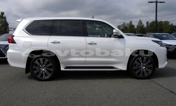 Buy Used Lexus LX 570 White Car in Agcabadi in Mil-Qarabax