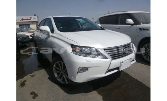 Buy Import Lexus RX White Car in Import - Dubai in Abseron Buy Import Lexus RX White Car in Import - Dubai in Abseron