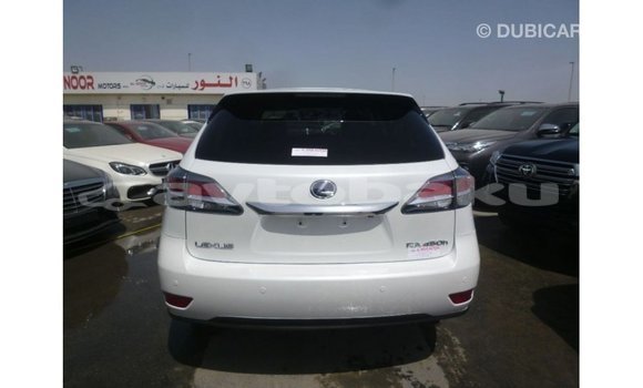 Buy Import Lexus RX White Car in Import - Dubai in Abseron Buy Import Lexus RX White Car in Import - Dubai in Abseron