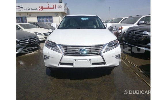 Buy Import Lexus RX White Car in Import - Dubai in Abseron Buy Import Lexus RX White Car in Import - Dubai in Abseron