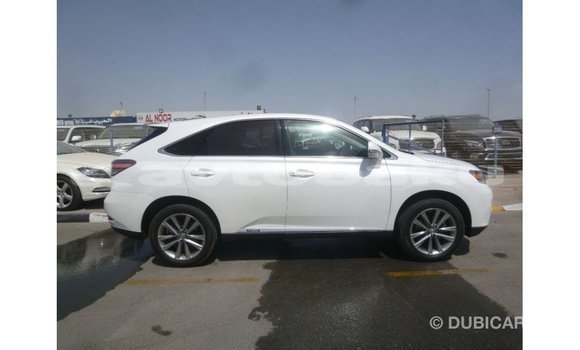 Buy Import Lexus RX White Car in Import - Dubai in Abseron Buy Import Lexus RX White Car in Import - Dubai in Abseron