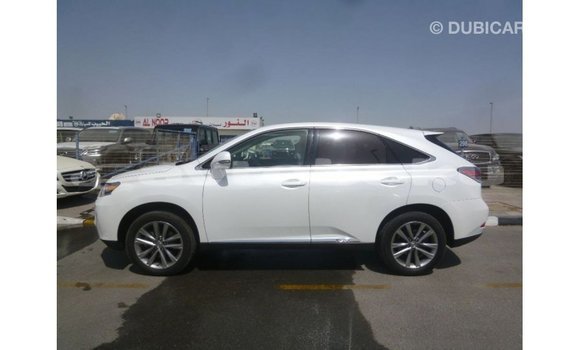 Buy Import Lexus RX White Car in Import - Dubai in Abseron Buy Import Lexus RX White Car in Import - Dubai in Abseron