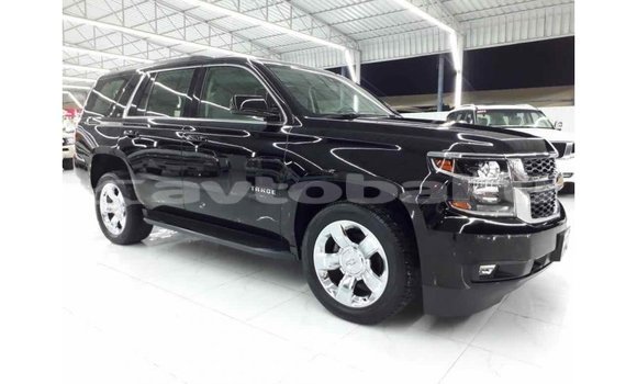 Buy Import Chevrolet Tahoe Black Car in Import - Dubai in Abseron Buy Import Chevrolet Tahoe Black Car in Import - Dubai in Abseron
