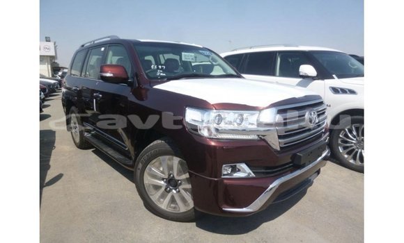 Buy Import Toyota Land Cruiser Red Car in Import - Dubai in Abseron Buy Import Toyota Land Cruiser Red Car in Import - Dubai in Abseron