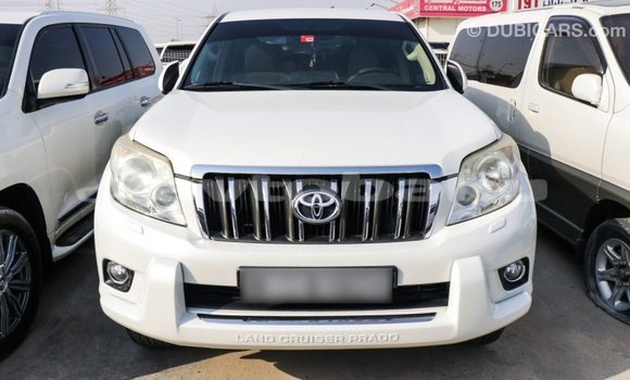 Buy Import Toyota Prado White Car in Import - Dubai in Abseron Buy Import Toyota Prado White Car in Import - Dubai in Abseron