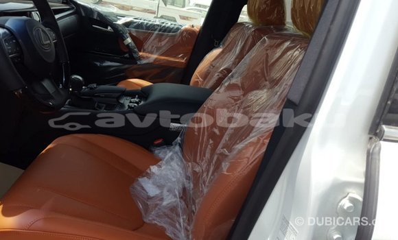 Buy Import Lexus LX Other Car in Import - Dubai in Abseron Buy Import Lexus LX Other Car in Import - Dubai in Abseron