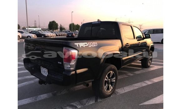 Buy Import Toyota Tacoma Black Car in Import - Dubai in Abseron Buy Import Toyota Tacoma Black Car in Import - Dubai in Abseron