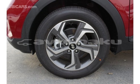 Buy Import Hyundai Creta Red Car in Import - Dubai in Abseron Buy Import Hyundai Creta Red Car in Import - Dubai in Abseron