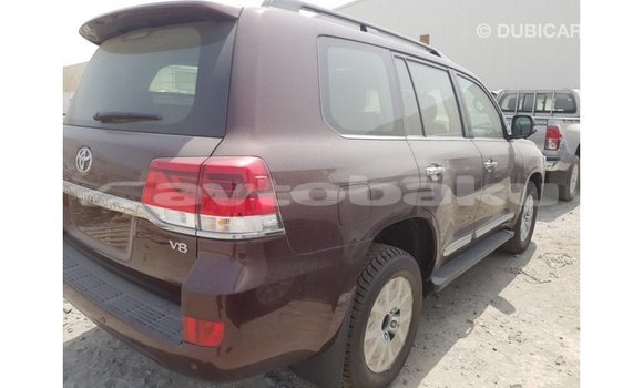 Buy Import Toyota Land Cruiser Brown Car in Import - Dubai in Abseron Buy Import Toyota Land Cruiser Brown Car in Import - Dubai in Abseron