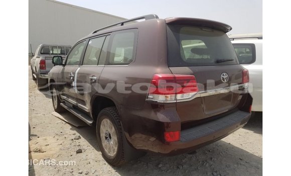 Buy Import Toyota Land Cruiser Brown Car in Import - Dubai in Abseron Buy Import Toyota Land Cruiser Brown Car in Import - Dubai in Abseron