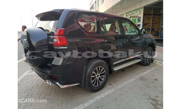 Buy Import Toyota Prado Black Car in Import - Dubai in Abseron Buy Import Toyota Prado Black Car in Import - Dubai in Abseron