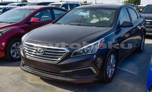 Buy Import Hyundai Sonata Brown Car in Import - Dubai in Abseron Buy Import Hyundai Sonata Brown Car in Import - Dubai in Abseron