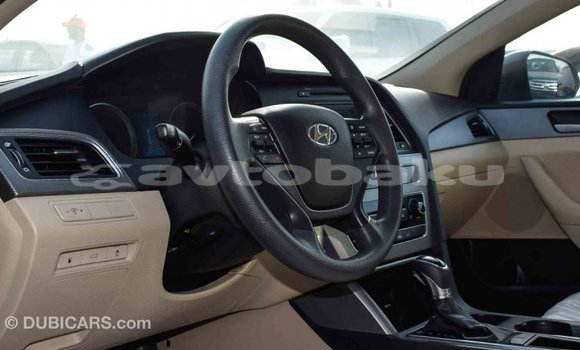 Buy Import Hyundai Sonata Brown Car in Import - Dubai in Abseron Buy Import Hyundai Sonata Brown Car in Import - Dubai in Abseron
