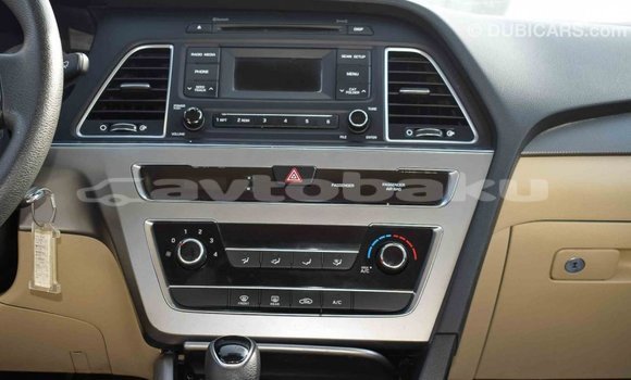 Buy Import Hyundai Sonata Brown Car in Import - Dubai in Abseron Buy Import Hyundai Sonata Brown Car in Import - Dubai in Abseron