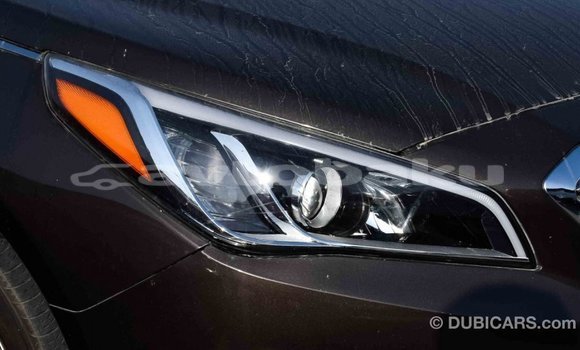 Buy Import Hyundai Sonata Brown Car in Import - Dubai in Abseron Buy Import Hyundai Sonata Brown Car in Import - Dubai in Abseron