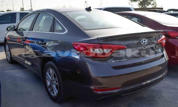 Buy Import Hyundai Sonata Brown Car in Import - Dubai in Abseron Buy Import Hyundai Sonata Brown Car in Import - Dubai in Abseron
