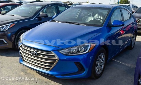 Buy Import Hyundai Elantra Blue Car in Import - Dubai in Abseron Buy Import Hyundai Elantra Blue Car in Import - Dubai in Abseron