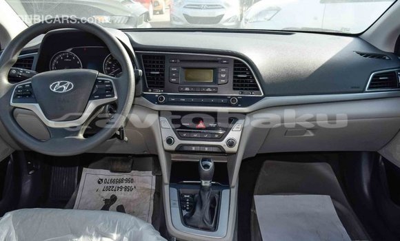 Buy Import Hyundai Elantra Blue Car in Import - Dubai in Abseron Buy Import Hyundai Elantra Blue Car in Import - Dubai in Abseron
