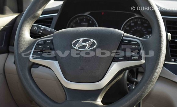Buy Import Hyundai Elantra Blue Car in Import - Dubai in Abseron Buy Import Hyundai Elantra Blue Car in Import - Dubai in Abseron