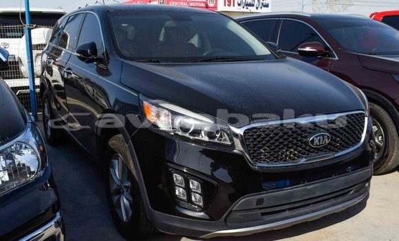 Buy Import Kia Sorento Black Car in Import - Dubai in Abseron Buy Import Kia Sorento Black Car in Import - Dubai in Abseron