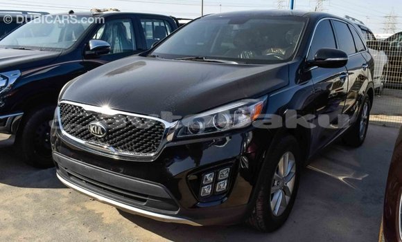 Buy Import Kia Sorento Black Car in Import - Dubai in Abseron Buy Import Kia Sorento Black Car in Import - Dubai in Abseron