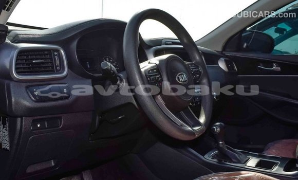 Buy Import Kia Sorento Black Car in Import - Dubai in Abseron Buy Import Kia Sorento Black Car in Import - Dubai in Abseron