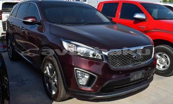 Buy Import Kia Sorento Brown Car in Import - Dubai in Abseron Buy Import Kia Sorento Brown Car in Import - Dubai in Abseron