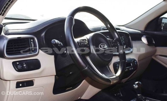Buy Import Kia Sorento Brown Car in Import - Dubai in Abseron Buy Import Kia Sorento Brown Car in Import - Dubai in Abseron