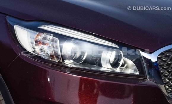 Buy Import Kia Sorento Brown Car in Import - Dubai in Abseron Buy Import Kia Sorento Brown Car in Import - Dubai in Abseron