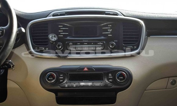 Buy Import Kia Sorento Brown Car in Import - Dubai in Abseron Buy Import Kia Sorento Brown Car in Import - Dubai in Abseron