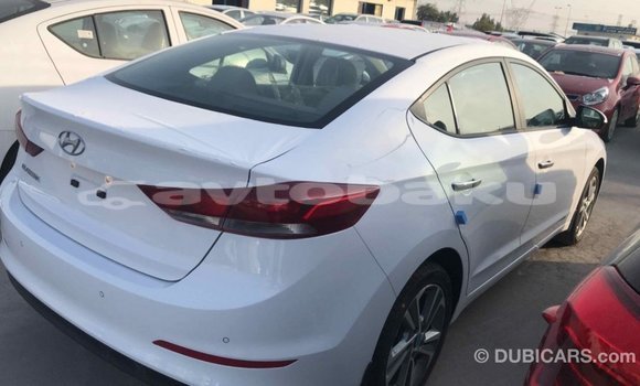 Buy Import Hyundai Elantra White Car in Import - Dubai in Abseron Buy Import Hyundai Elantra White Car in Import - Dubai in Abseron
