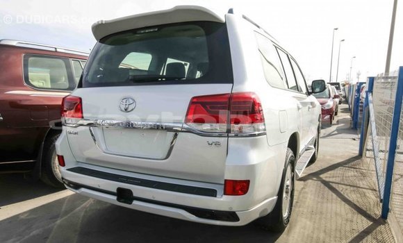 Buy Import Toyota Land Cruiser White Car in Import - Dubai in Abseron Buy Import Toyota Land Cruiser White Car in Import - Dubai in Abseron