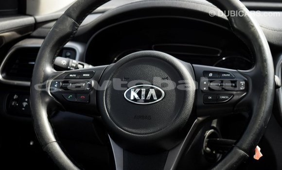 Buy Import Kia Sorento Other Car in Import - Dubai in Abseron Buy Import Kia Sorento Other Car in Import - Dubai in Abseron