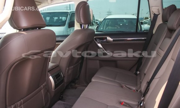 Buy Import Lexus GX White Car in Import - Dubai in Abseron Buy Import Lexus GX White Car in Import - Dubai in Abseron