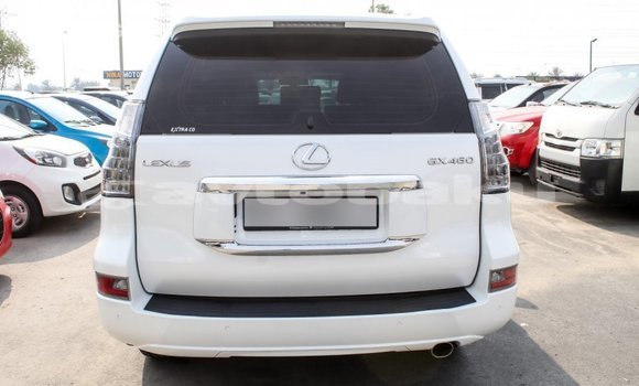 Buy Import Lexus GX White Car in Import - Dubai in Abseron Buy Import Lexus GX White Car in Import - Dubai in Abseron