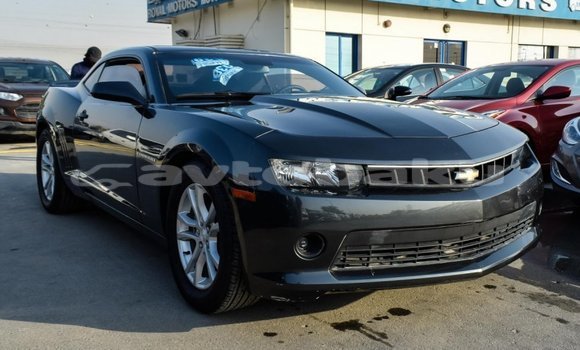 Buy Import Chevrolet Camaro Other Car in Import - Dubai in Abseron