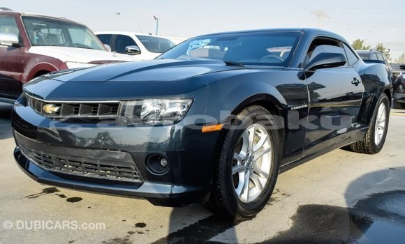 Buy Import Chevrolet Camaro Other Car in Import - Dubai in Abseron Buy Import Chevrolet Camaro Other Car in Import - Dubai in Abseron
