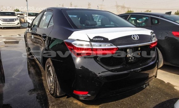 Buy Import Toyota Corolla Black Car in Import - Dubai in Abseron Buy Import Toyota Corolla Black Car in Import - Dubai in Abseron