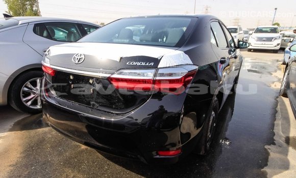 Buy Import Toyota Corolla Black Car in Import - Dubai in Abseron Buy Import Toyota Corolla Black Car in Import - Dubai in Abseron