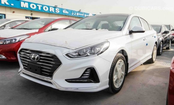 Buy Import Hyundai Sonata White Car in Import - Dubai in Abseron Buy Import Hyundai Sonata White Car in Import - Dubai in Abseron
