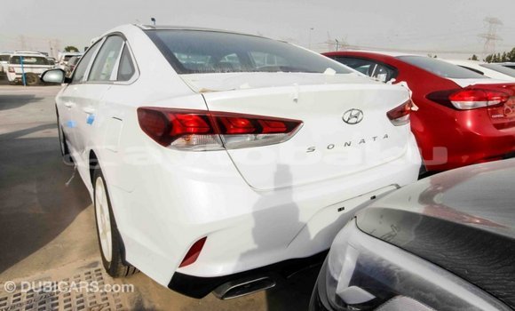 Buy Import Hyundai Sonata White Car in Import - Dubai in Abseron Buy Import Hyundai Sonata White Car in Import - Dubai in Abseron