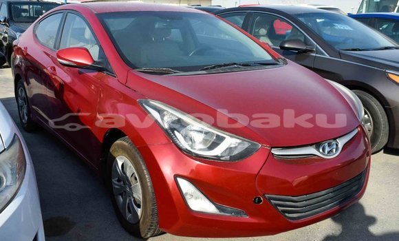 Buy Import Hyundai Elantra Red Car in Import - Dubai in Abseron Buy Import Hyundai Elantra Red Car in Import - Dubai in Abseron
