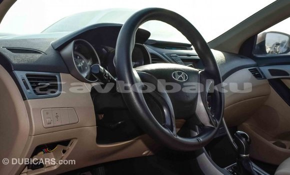 Buy Import Hyundai Elantra Red Car in Import - Dubai in Abseron Buy Import Hyundai Elantra Red Car in Import - Dubai in Abseron