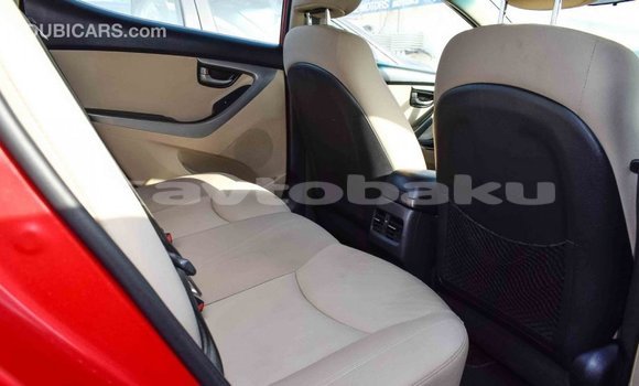 Buy Import Hyundai Elantra Red Car in Import - Dubai in Abseron Buy Import Hyundai Elantra Red Car in Import - Dubai in Abseron